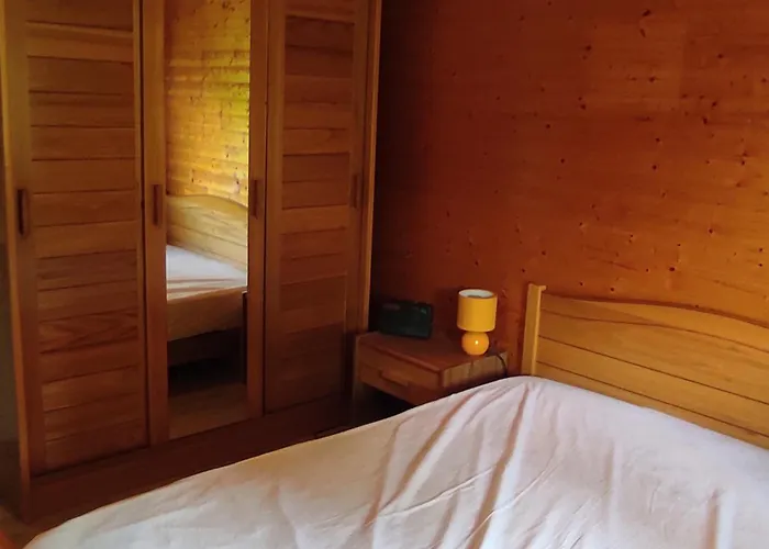 Montagnard Confortable A Avec Grand Terrain Et Parking Prive - Fr-1-814-139 Chalet Super Besse