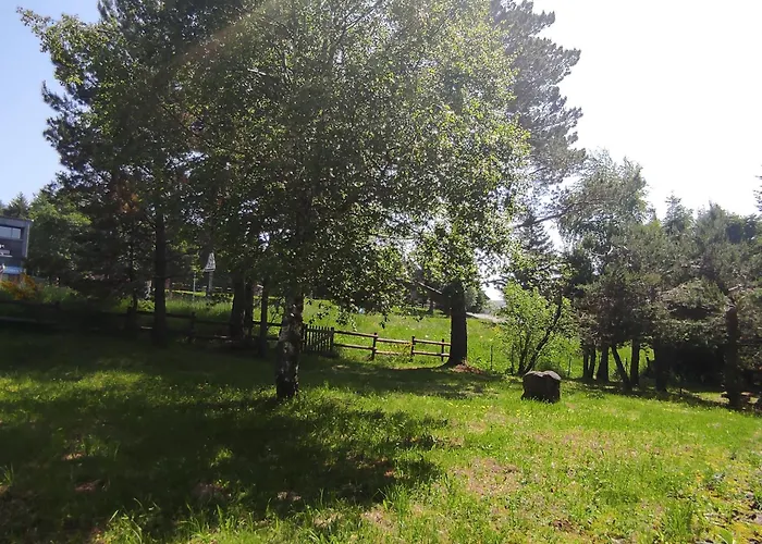 Chalet Montagnard Confortable A Avec Grand Terrain Et Parking Prive - Fr-1-814-139