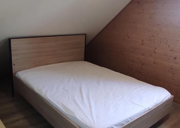 Montagnard Confortable A Avec Grand Terrain Et Parking Prive - Fr-1-814-139 * Super Besse